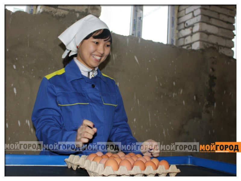 Предвыборная программа кандидата в депутаты областного маслихата ЗКО по избирательному округу №8 Батики Пайдиной