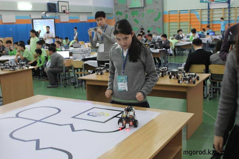 Кошкин дом появился в Алматы