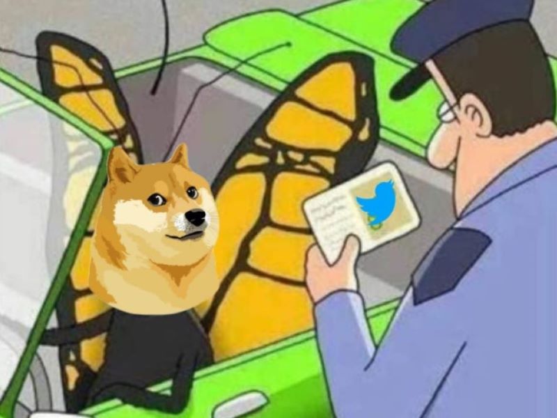 Сиба-ину вместо птицы: Twitter сменил логотип