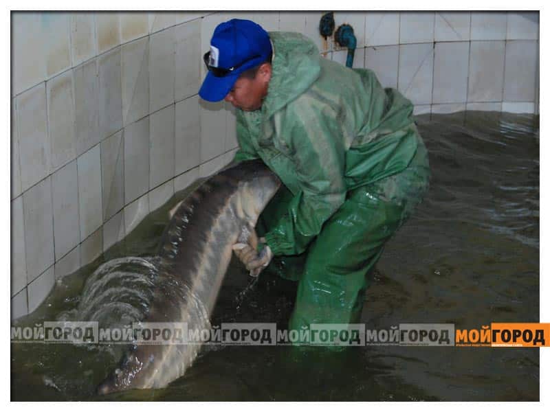 В Уральске «заминировали» редакцию портала «Мой ГОРОД»