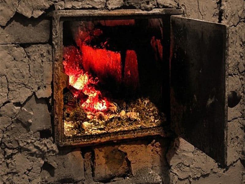 100 детей укусили клещи в Алматы