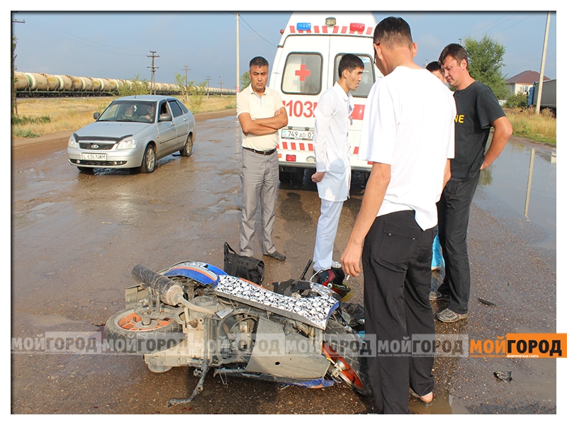 Больше 50 лет прикармливает на пруду лебедей жительница Уральска