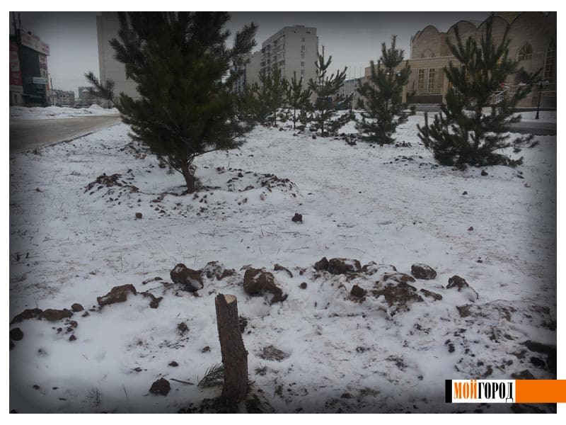 Спасатели рассказали, как проходят поиски иностранного туриста в горах Алматы