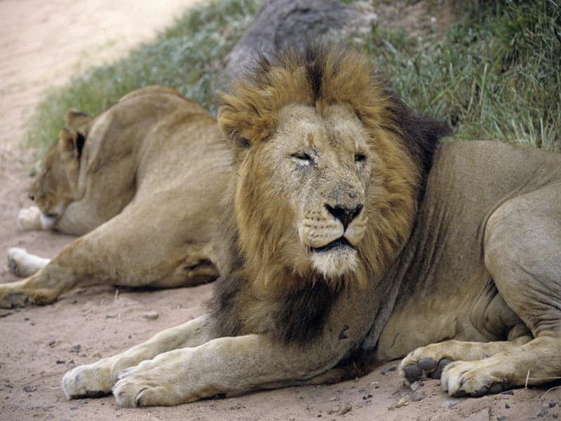 В Уральске запустили новую градирню на АО «Жайыктеплоэнерго»