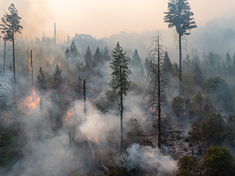 Казахстанцы собрали 200 млн тенге вместе с Kaspi.kz для пострадавших от пожара