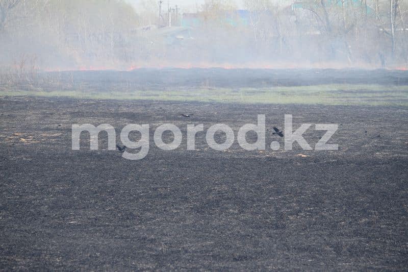 Жителям Астаны рекомендовали не выходить из дома из-за горящего сухостоя