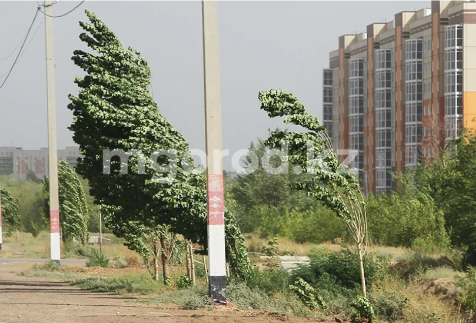 Ветер с порывами до 20 метров в секунду ожидается в ЗКО