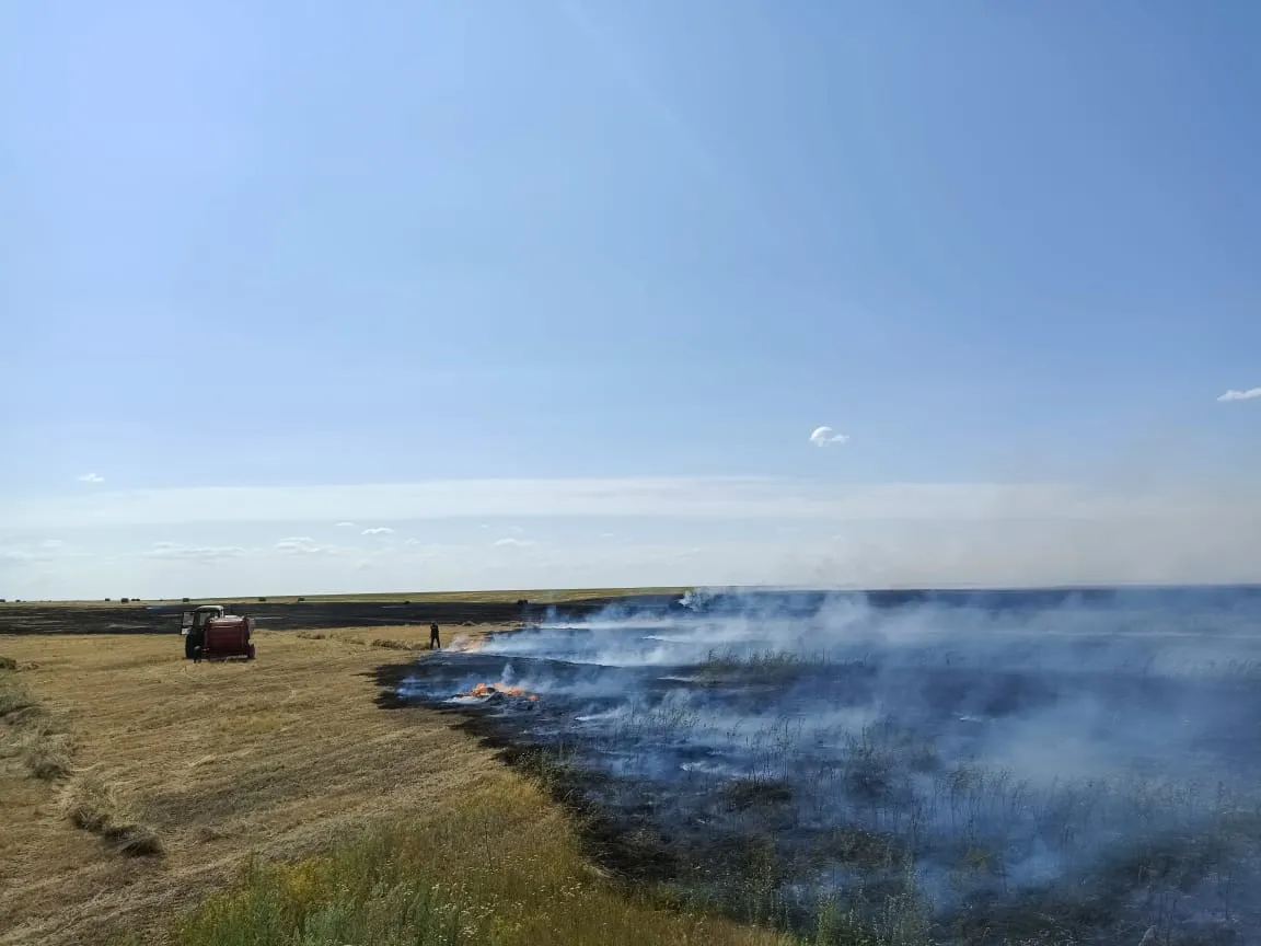 Сухостой горит в посёлке Круглоозёрное