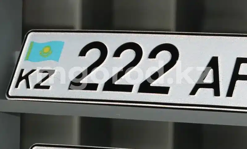 В Казахстане может появиться конструктор автономеров