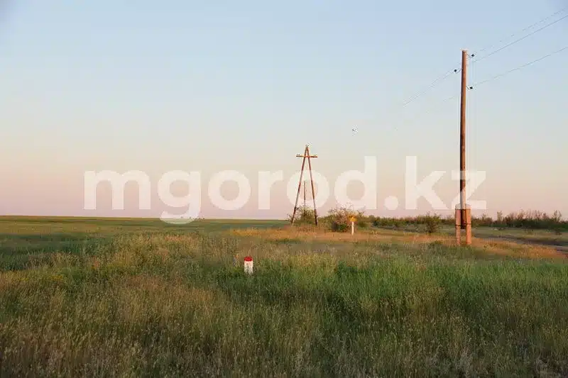 Государственные земли стоимостью в 107 млн тенге продали за 1 млн в ЗКО