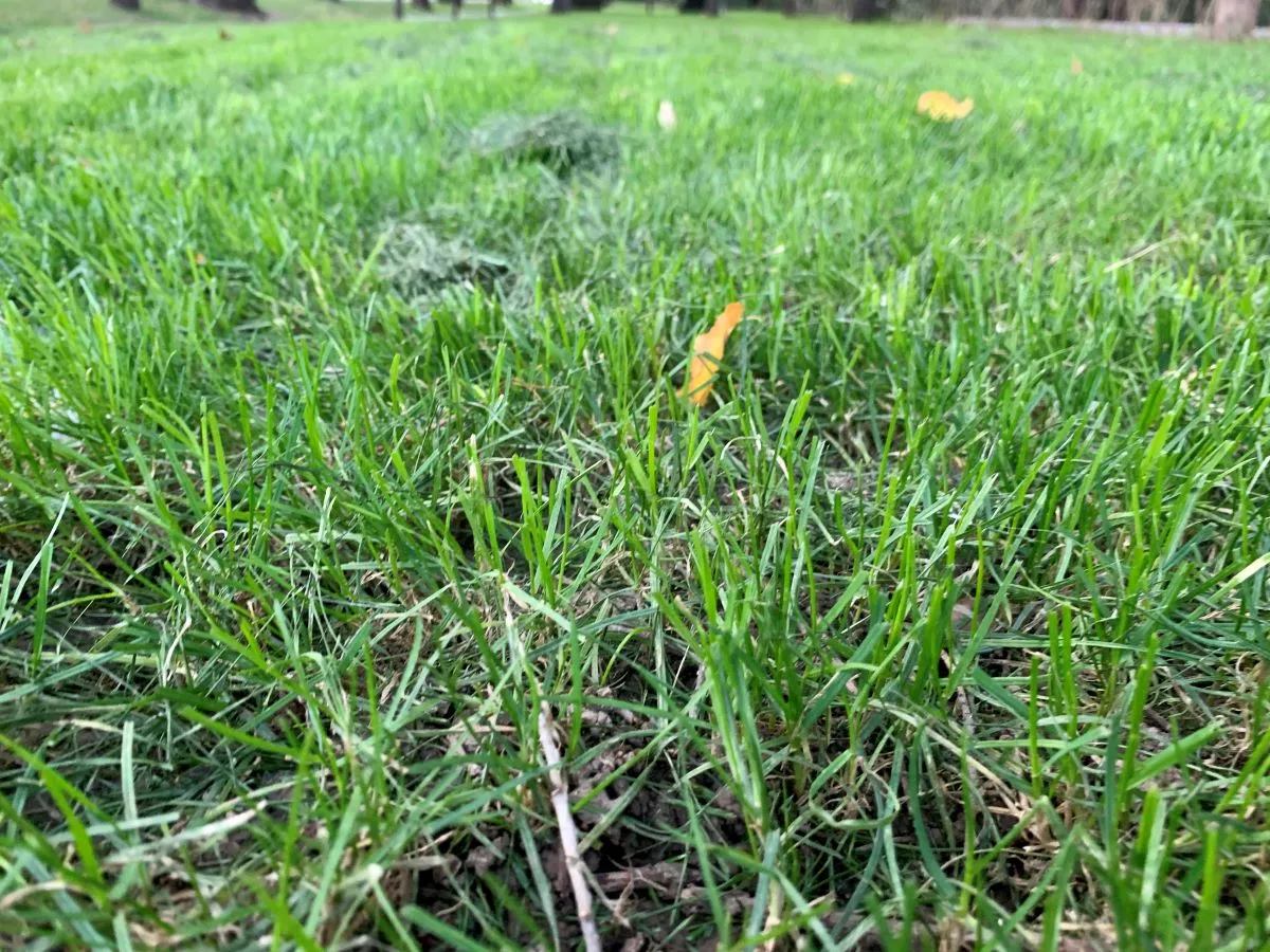 В ЗКО ожидается жара до +34 градусов