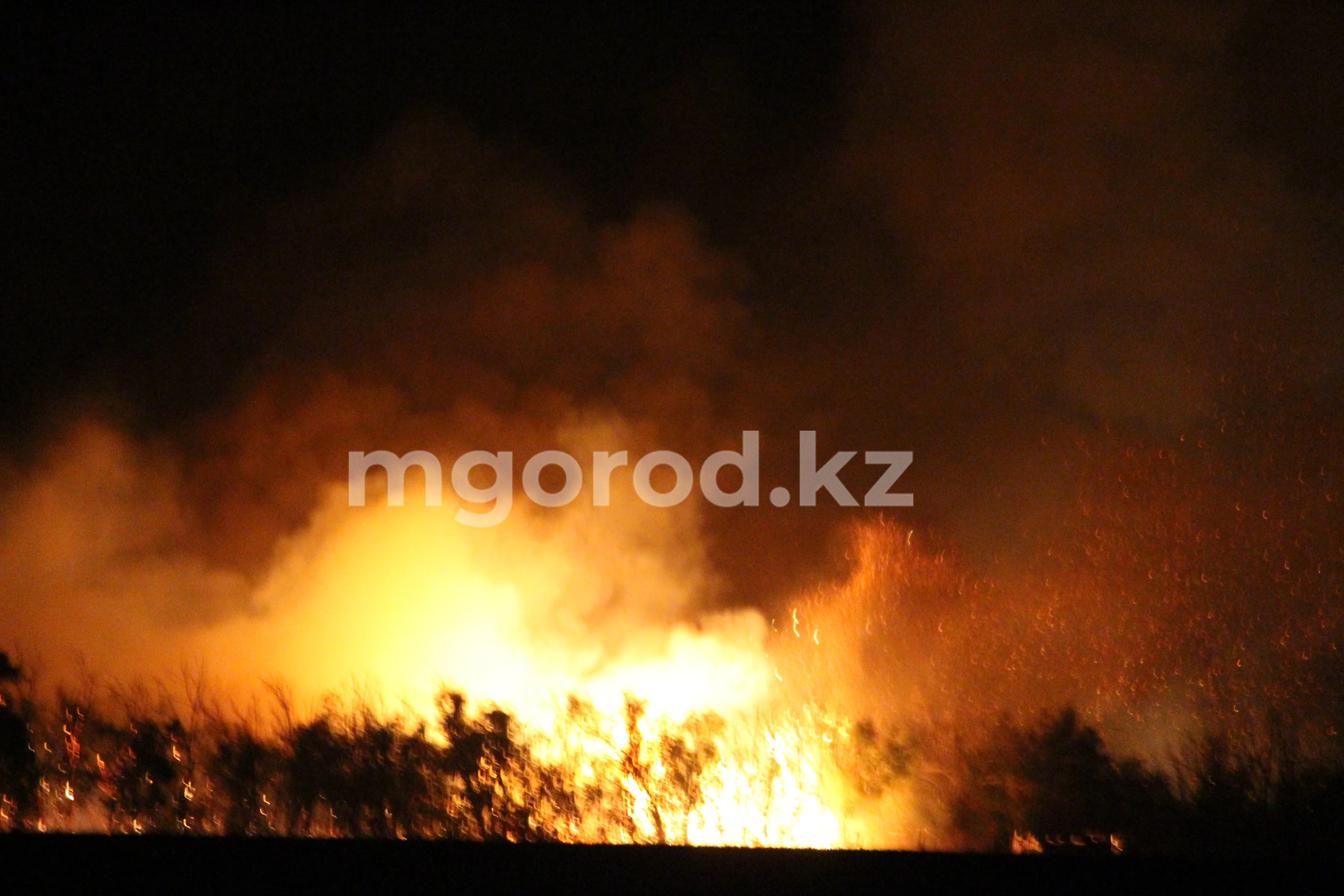 187 тонн сена сгорело в ЗКО