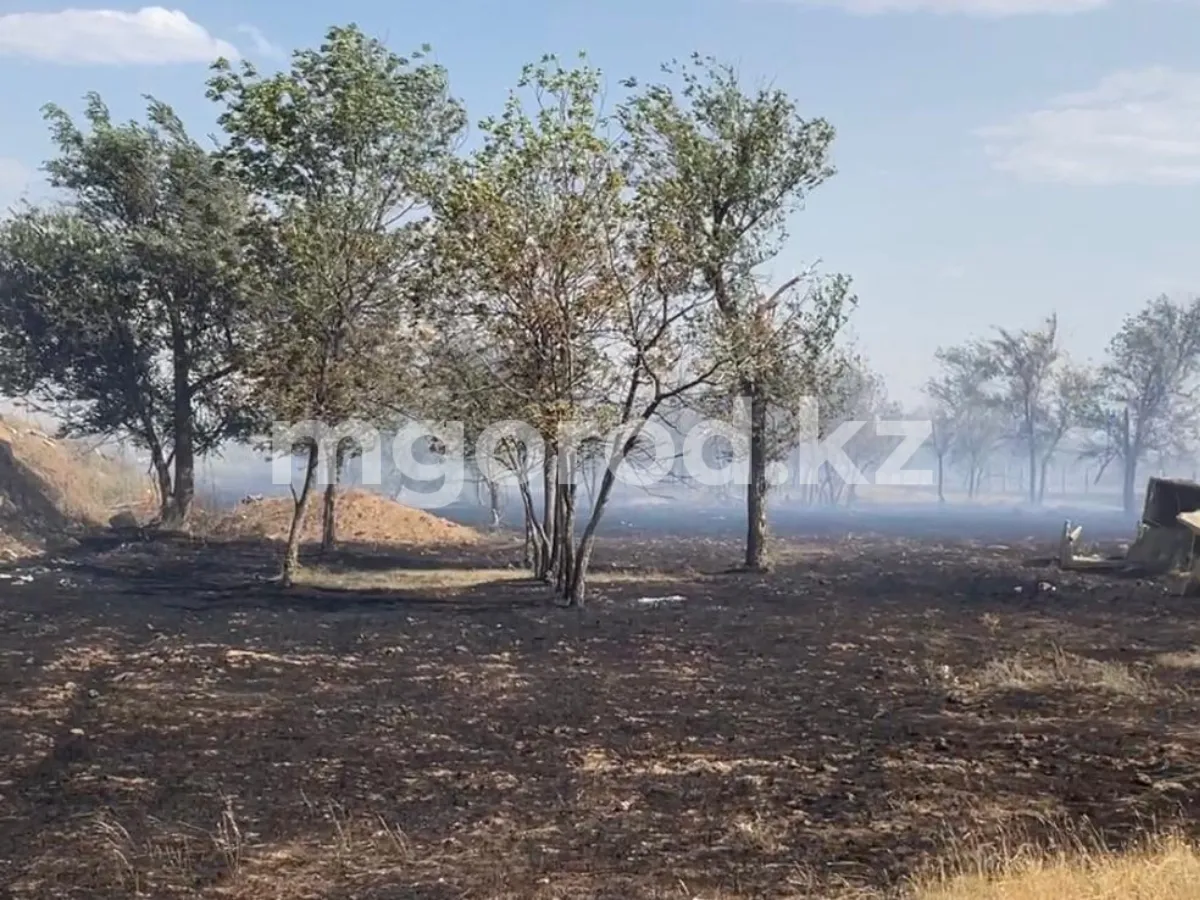 Во всех районах ЗКО локализовали степные пожары