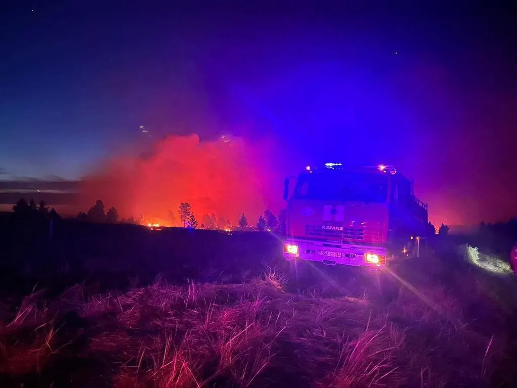 850 гектаров леса горит в Павлодарской области