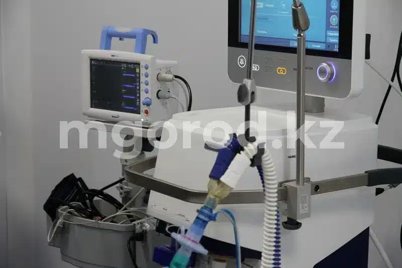 Лихорадка денге в Египте: Минздрав дал рекомендации казахстанцам