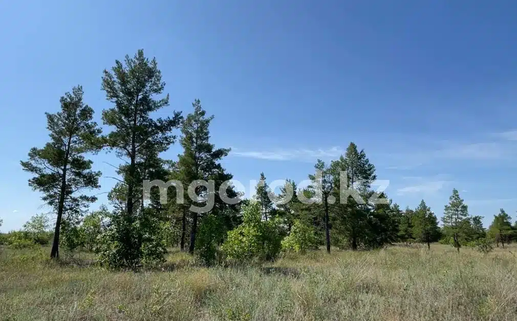 Сельчане ЗКО выступили против создания карьеров в лесном массиве