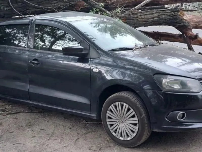 Шесть деревьев повалил шторм в Алматы