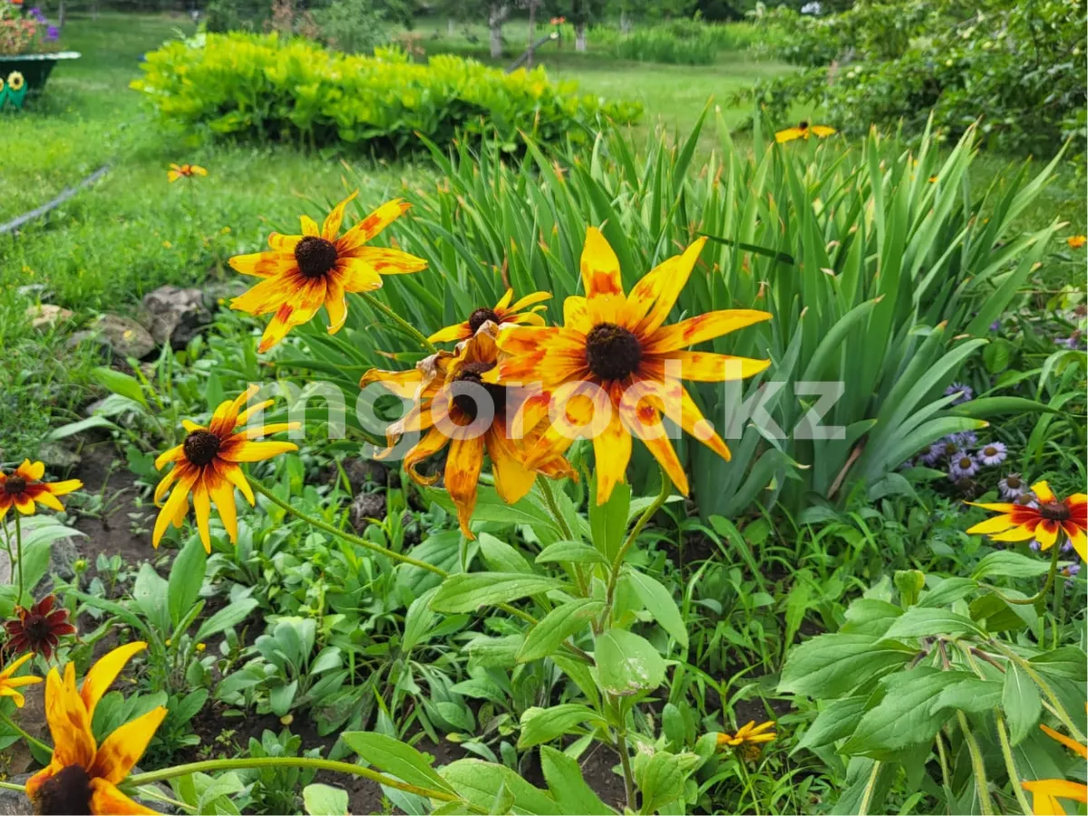 Переменная облачность ожидается в ЗКО