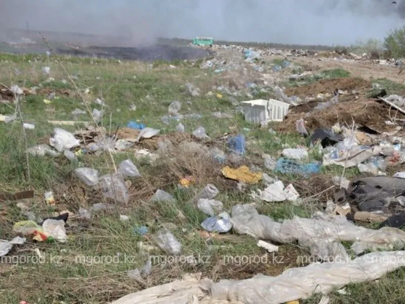 Сельских акимов оштрафовали за несанкционированные свалки в Жетысу