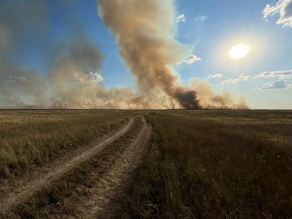 Сухостой горит в одном из районов ЗКО