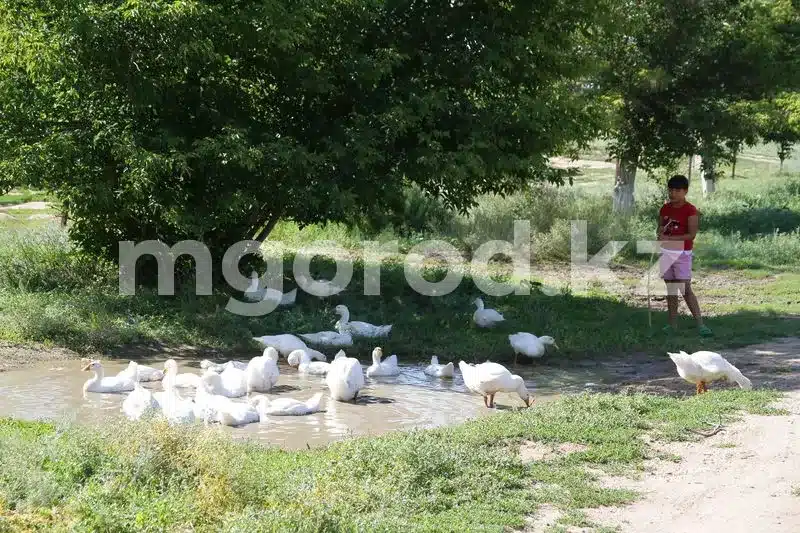 Днем в ЗКО ожидается сильная жара