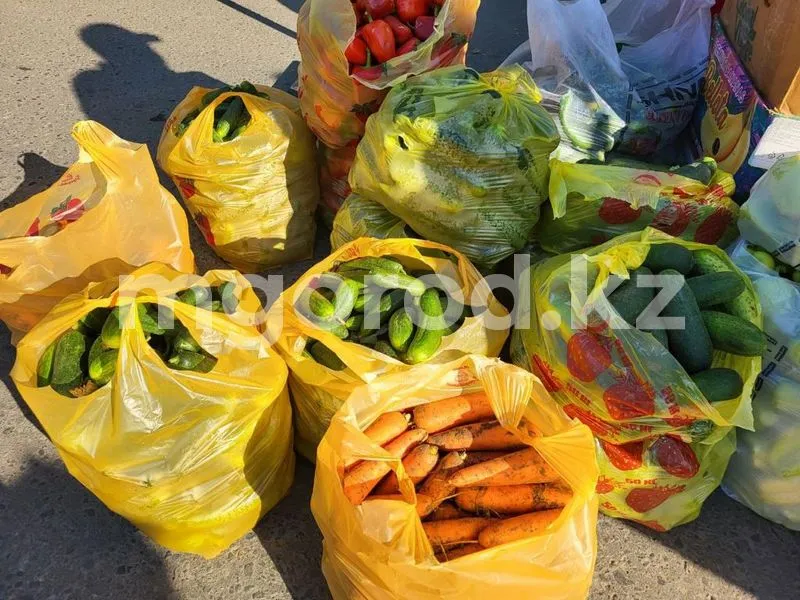 У дачников Уральска скупают урожай