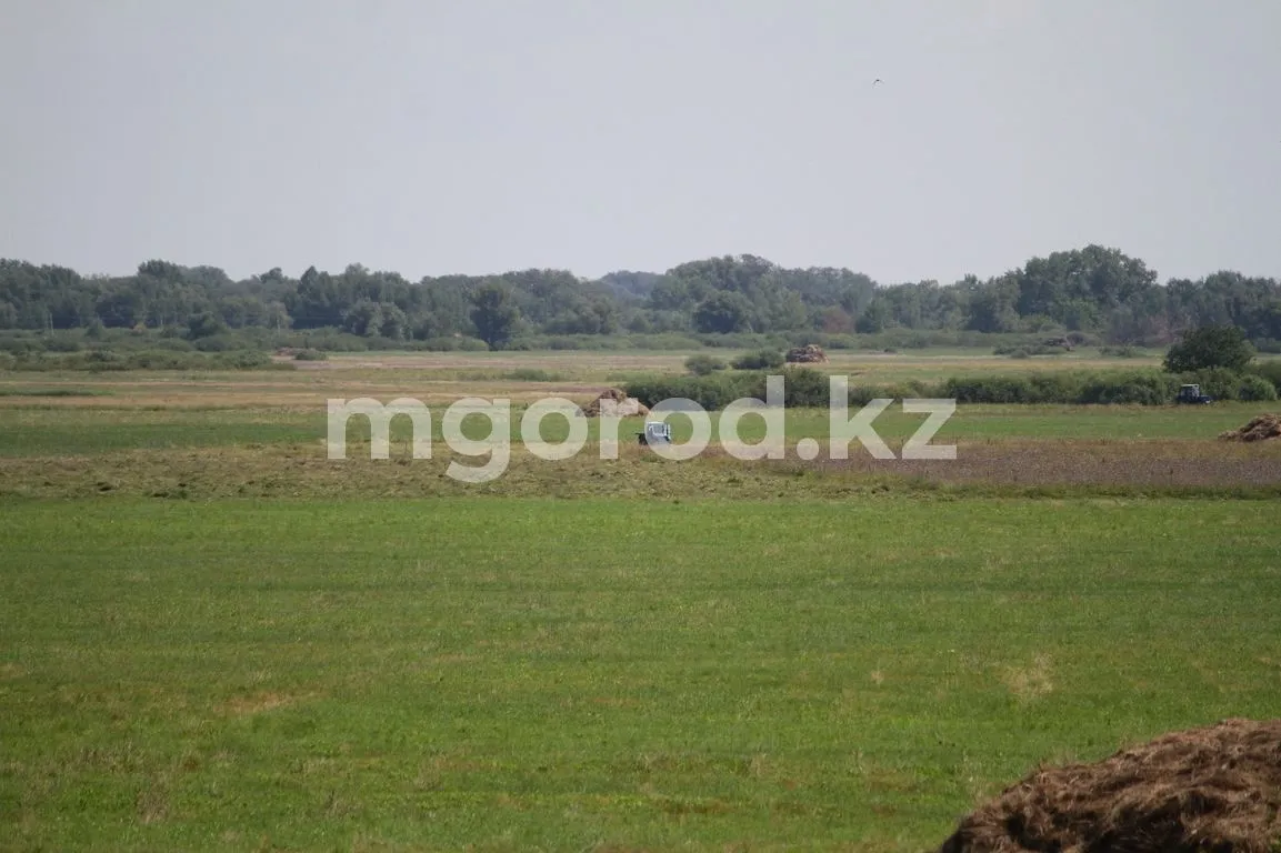 Земельные участки на 179 млн тенге ушли на аукционах в ЗКО