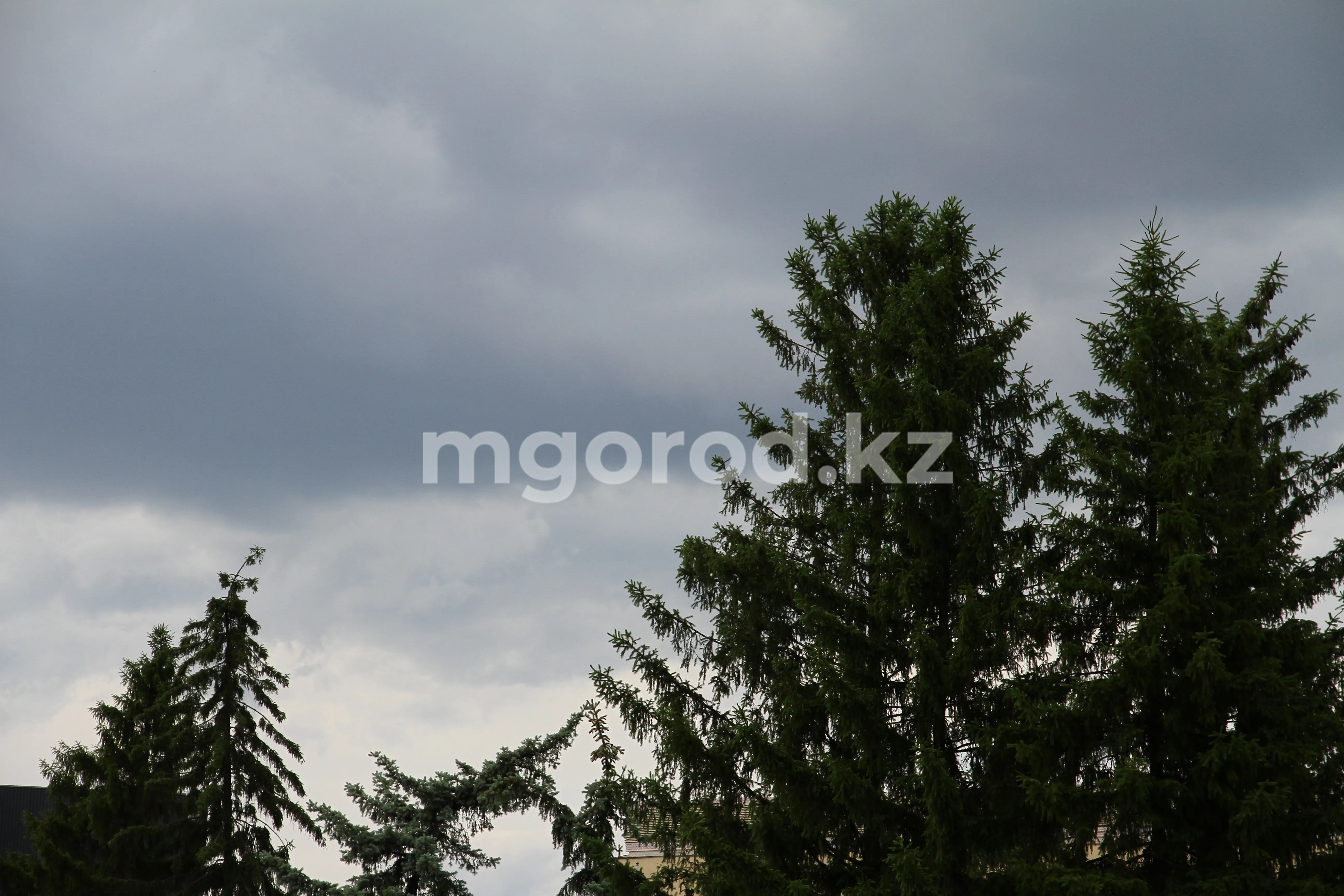 Дождь прогнозируют в ЗКО