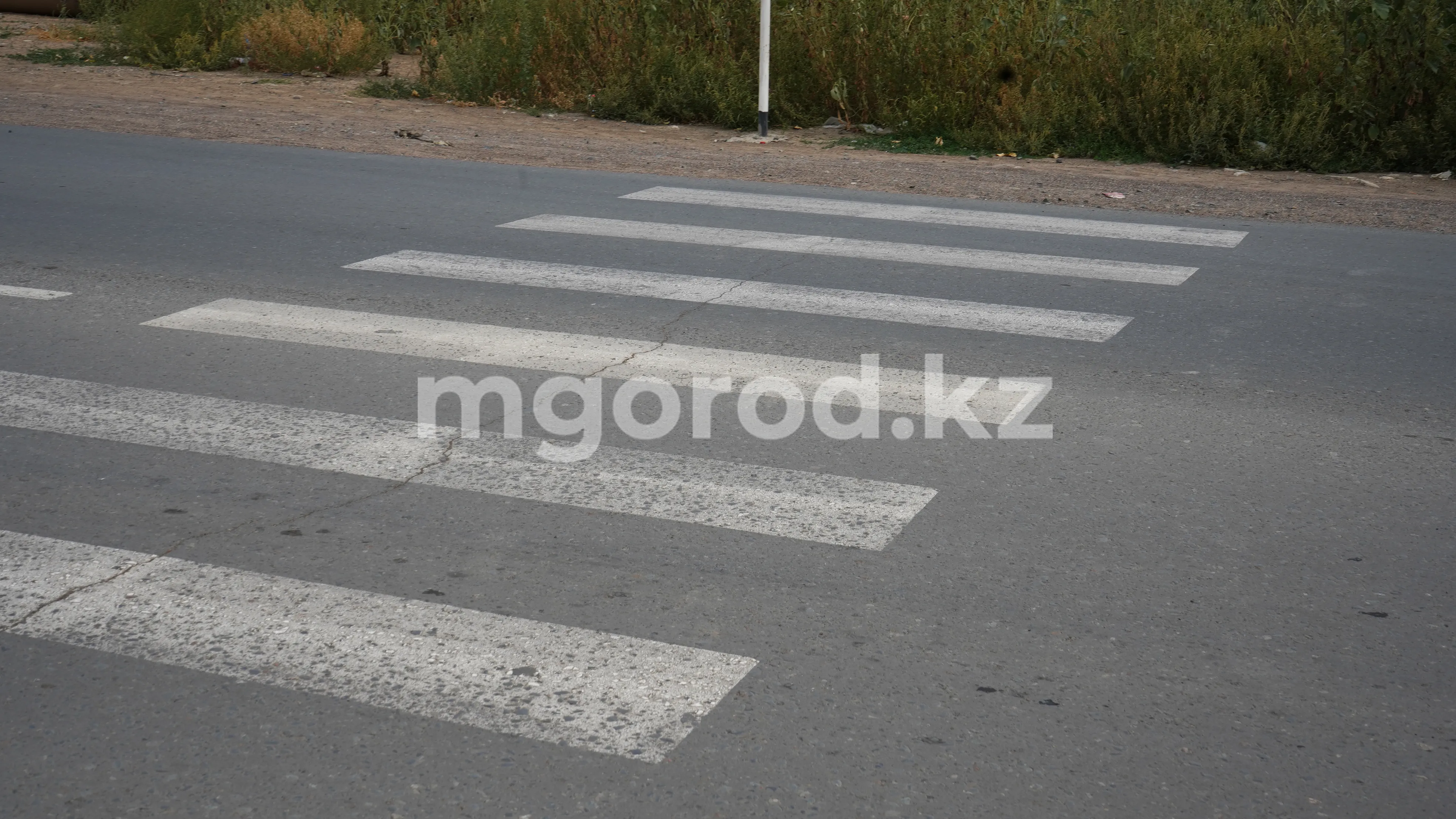 Пьяный мужчина сбил 14-летнюю девочку в Уральске