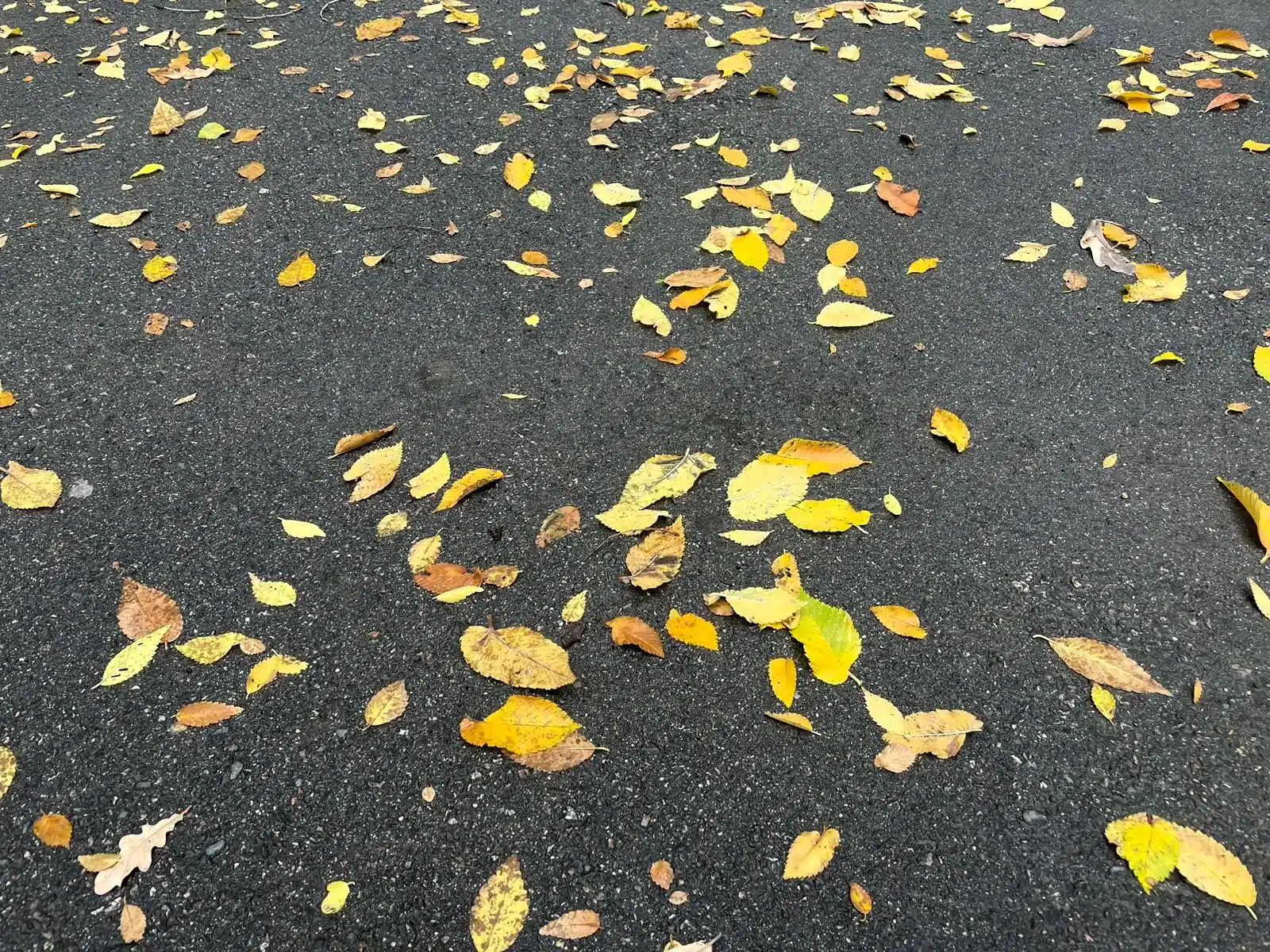 Погода на 20 сентября в Уральске