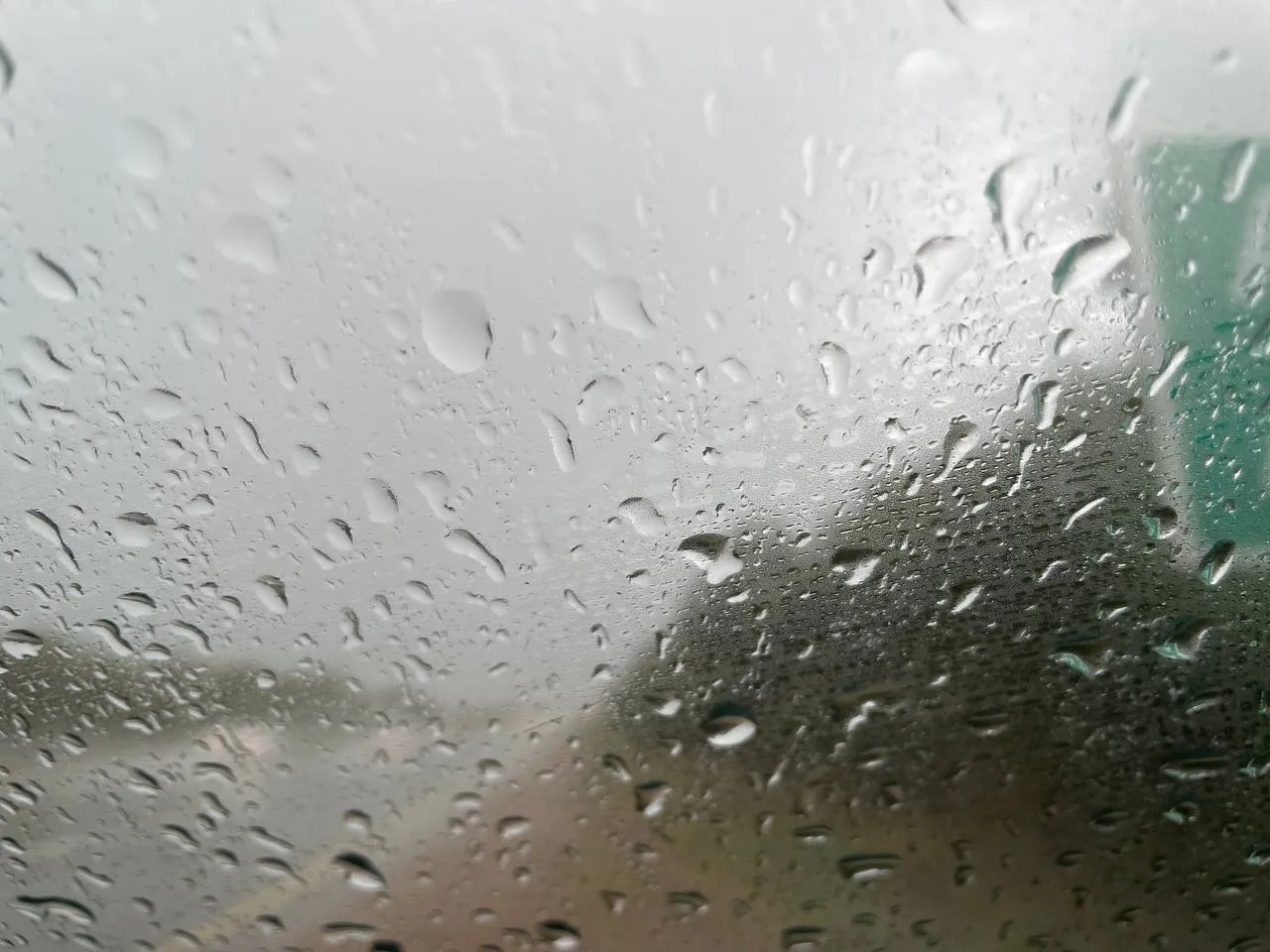 К алматинцам обратились из-за сильного дождя и ветра