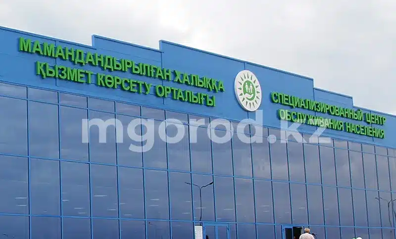 Новая услуга появилась в мобильном приложении «ЦОН»