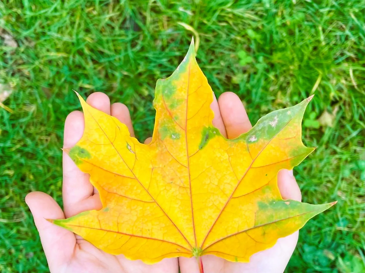 Погода на 10 октября в Уральске