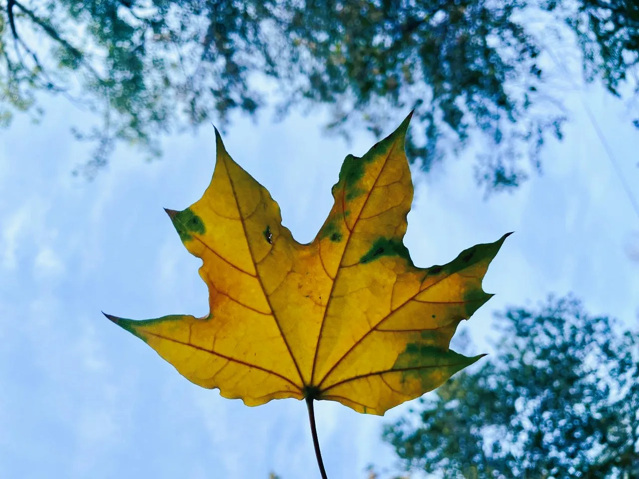 Погода в Уральске на 18 октября