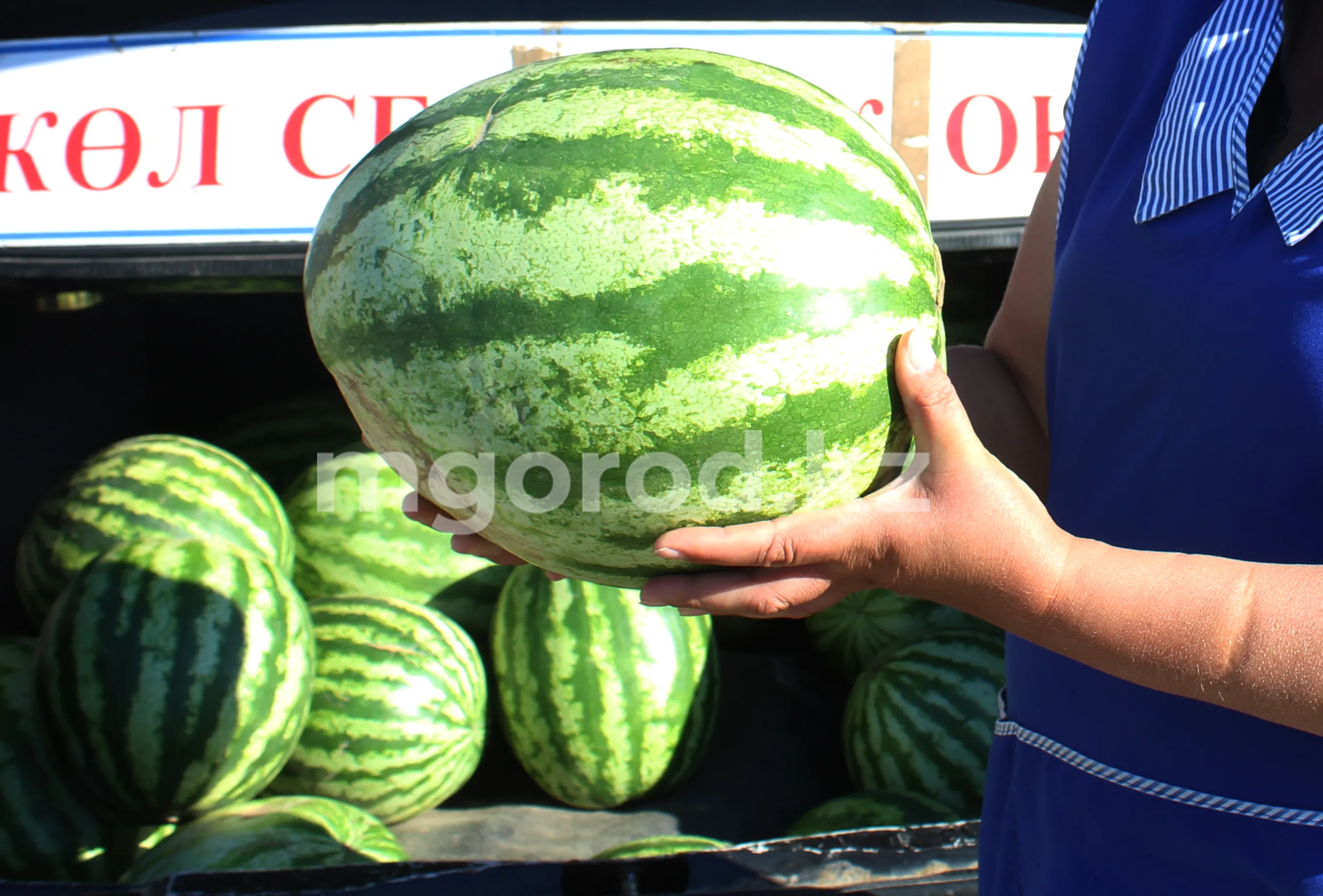 Ярмарка сельхозтоваров пройдёт в Уральске