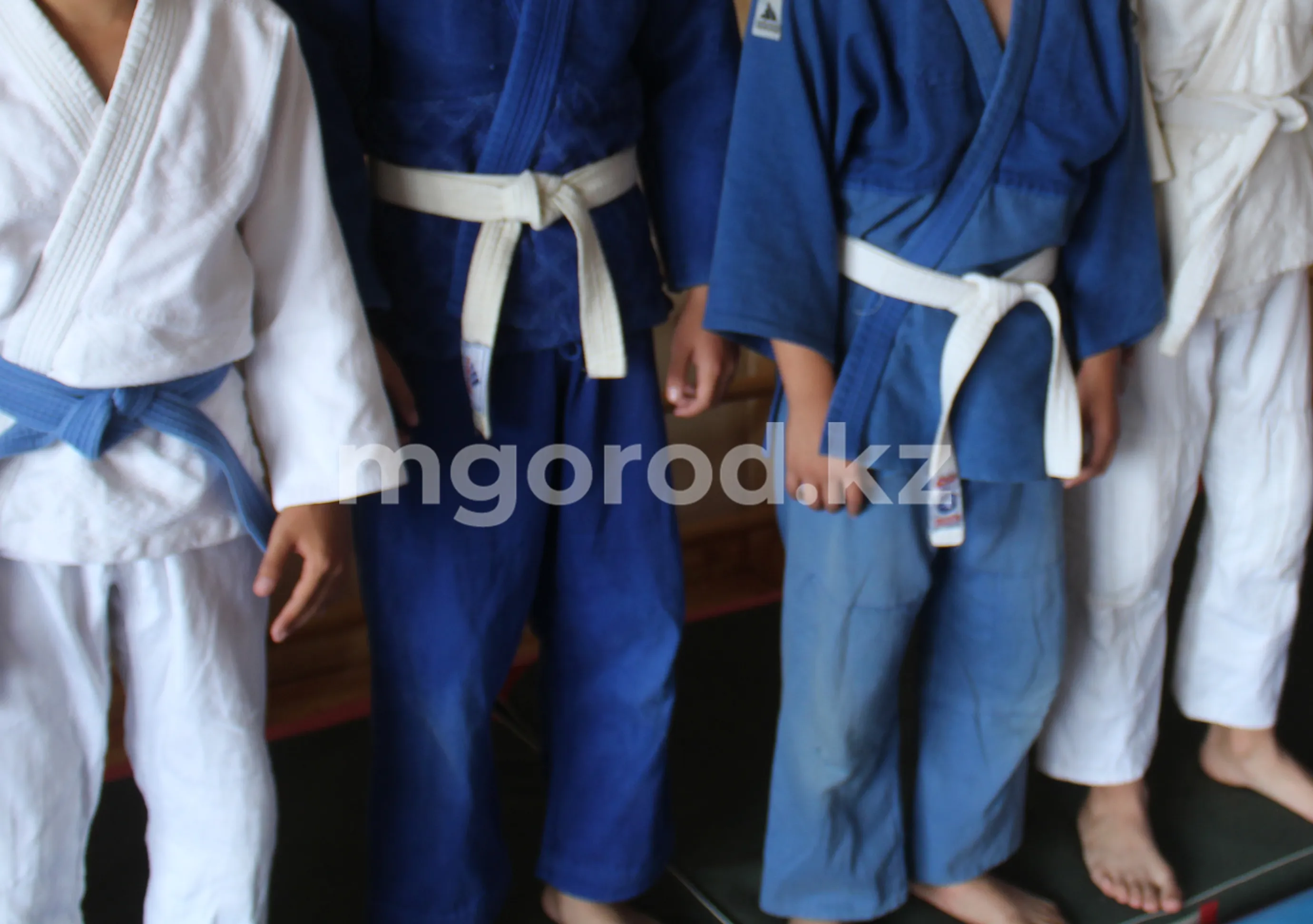 39% жителей Бурлинского района занимаются спортом