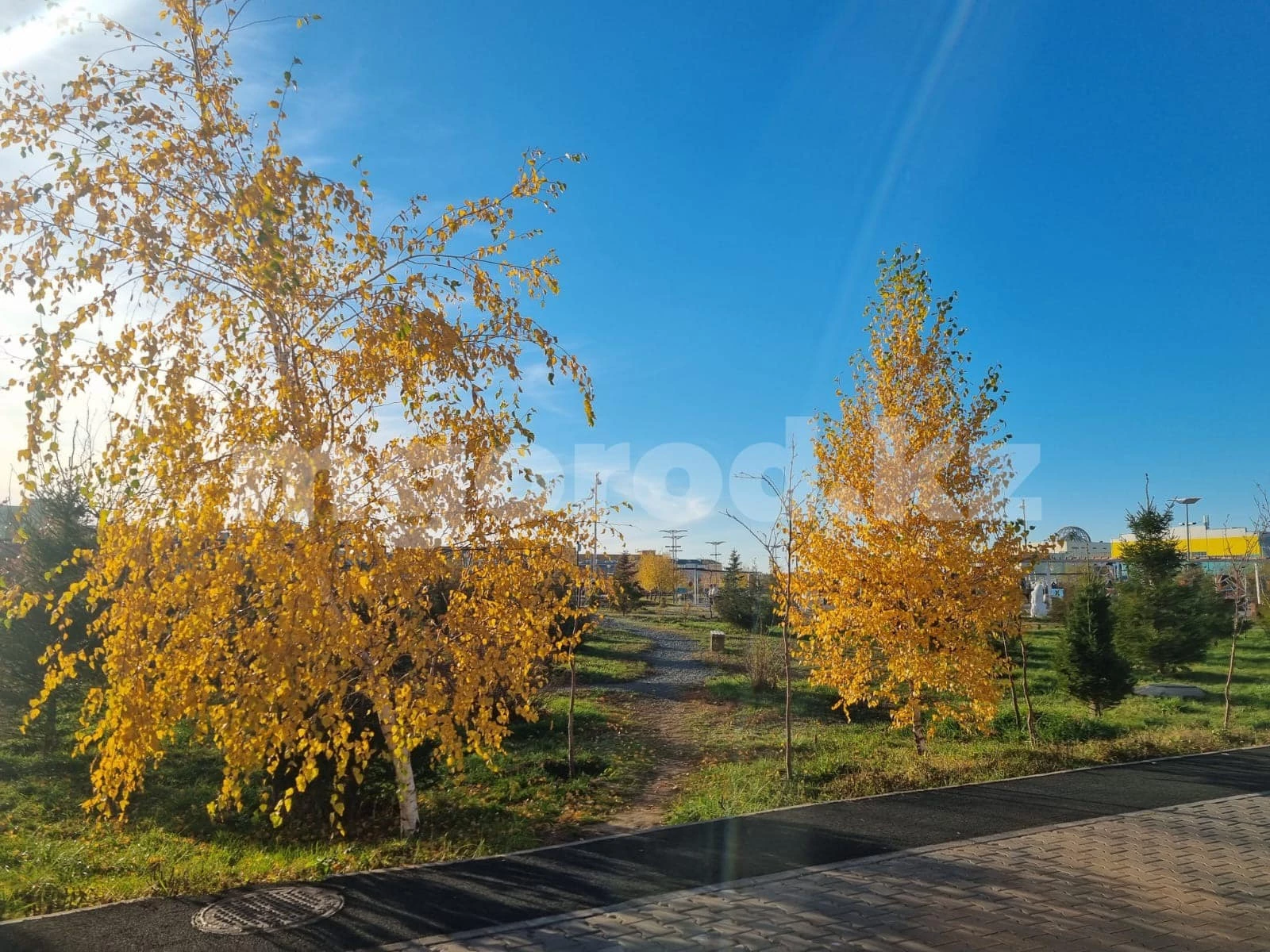 Погода на пятое ноября