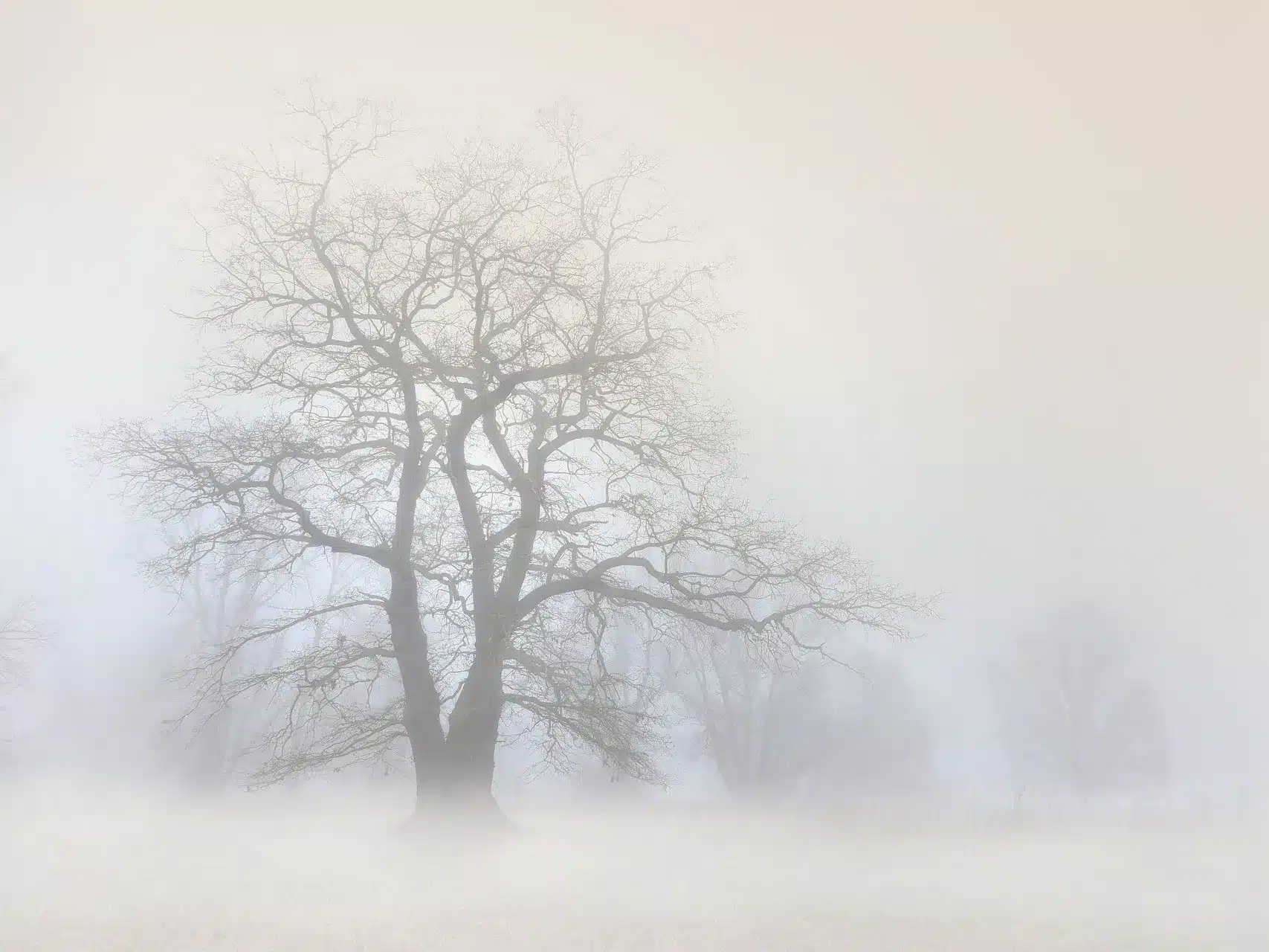 Туман ожидает жителей ЗКО утром 9 декабря