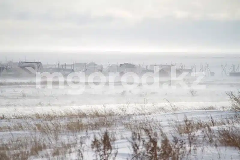 Метель ожидается в ЗКО