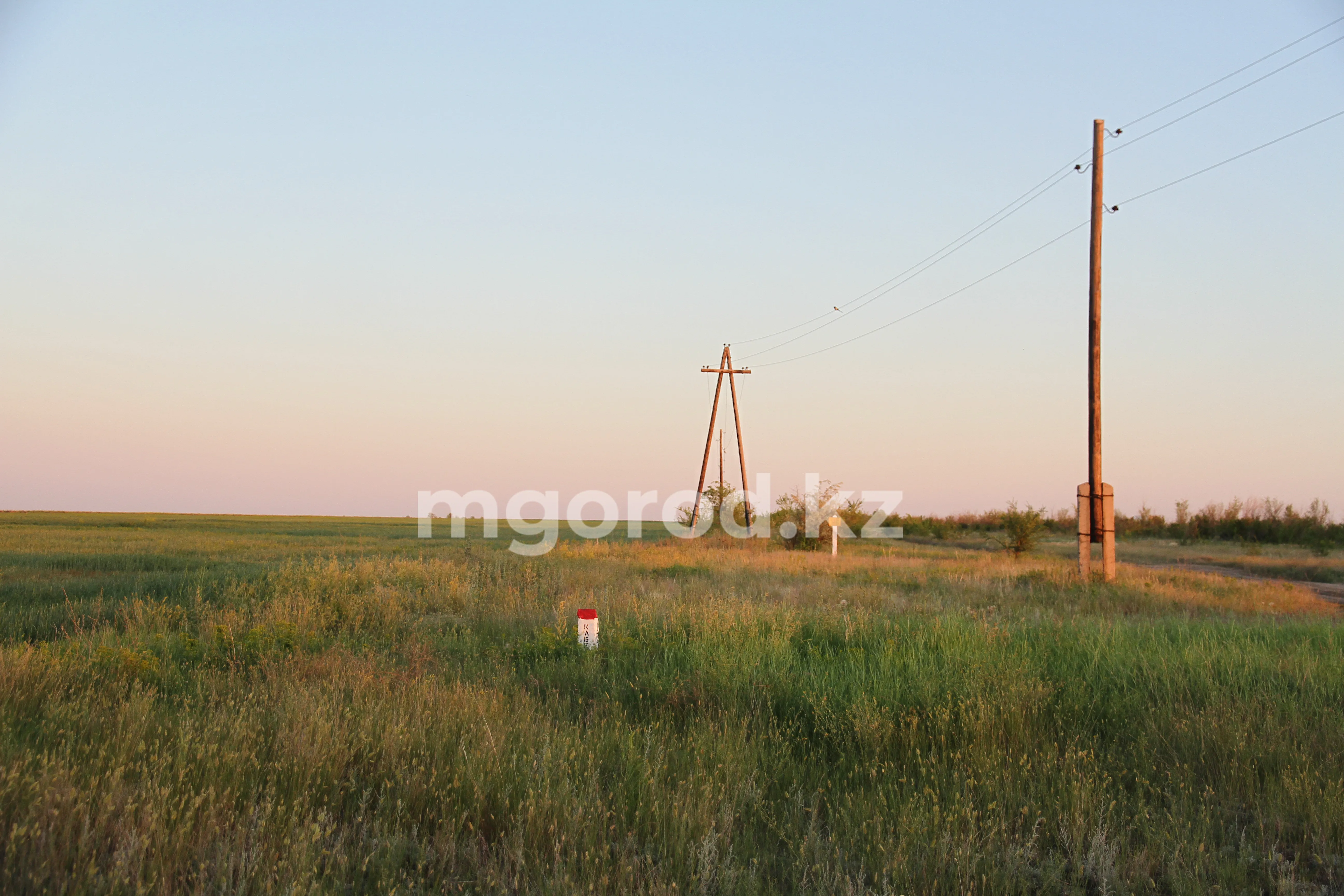 Премьер прокомментировал слухи об аренде китайскими инвесторами земель в ЗКО