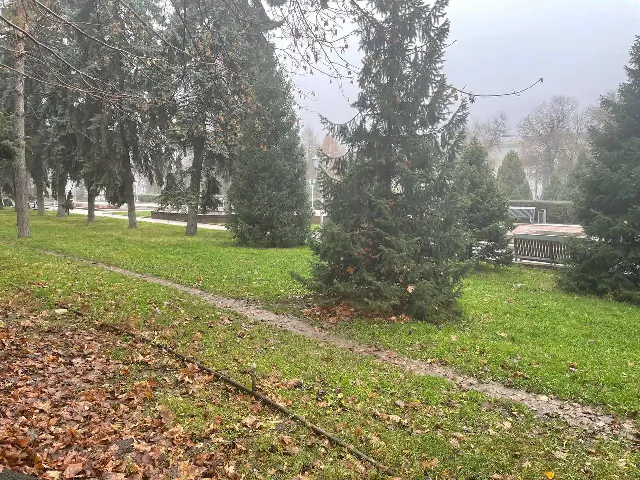 Туман ожидается в ЗКО