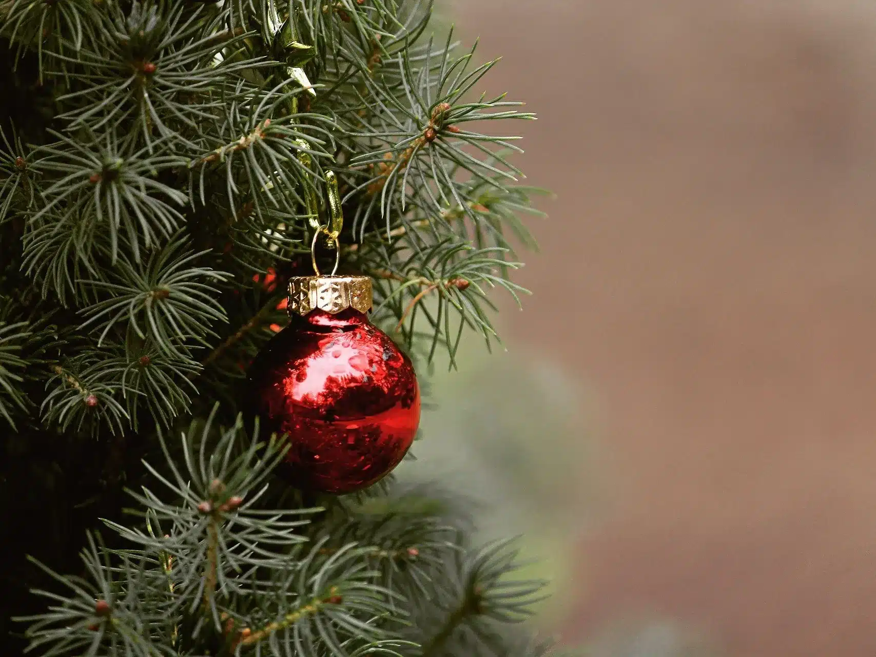 Сколько потратит акимат ЗКО на празднование Нового года