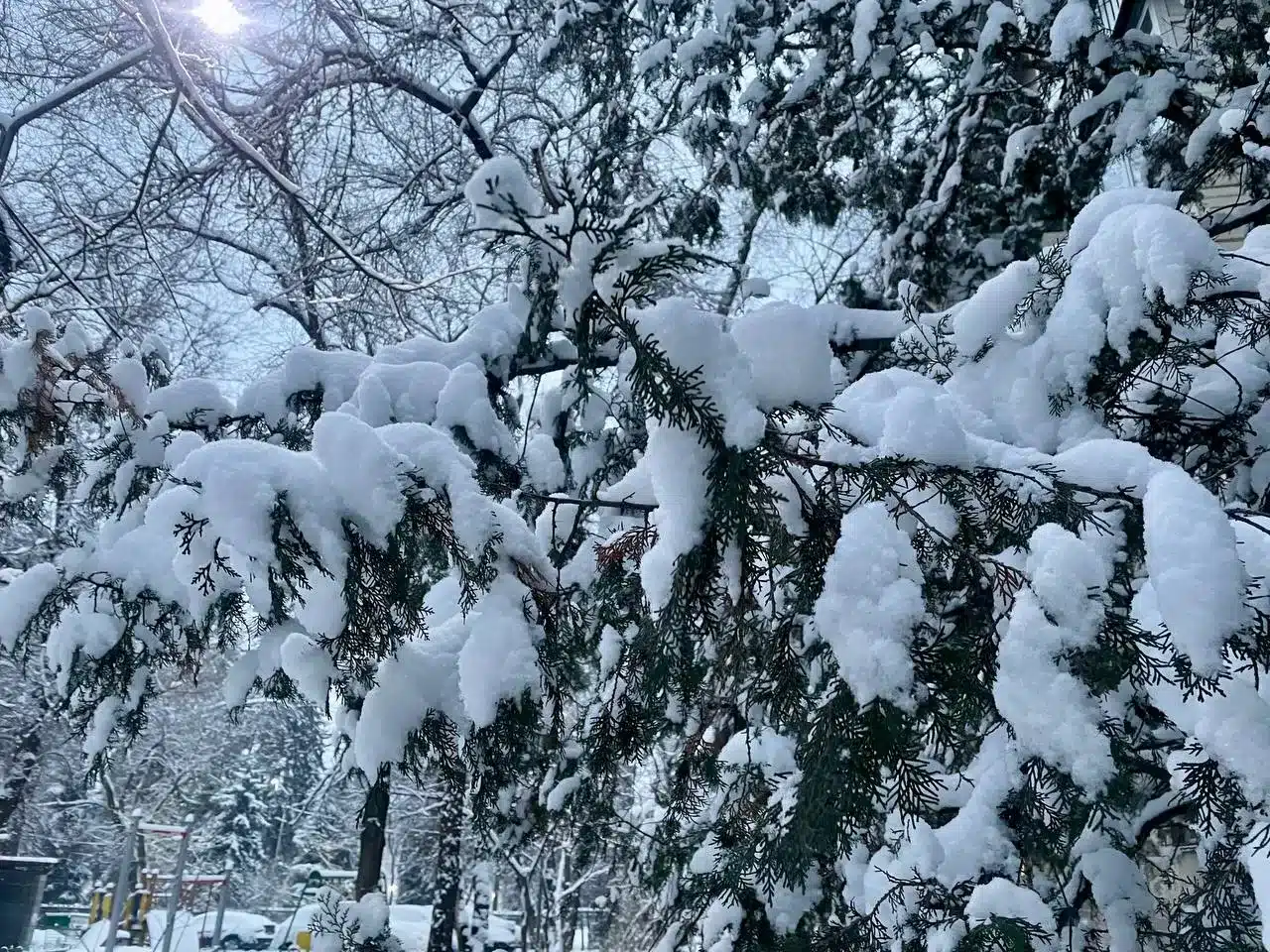 До 15 сантиметров снега выпало в Алматы