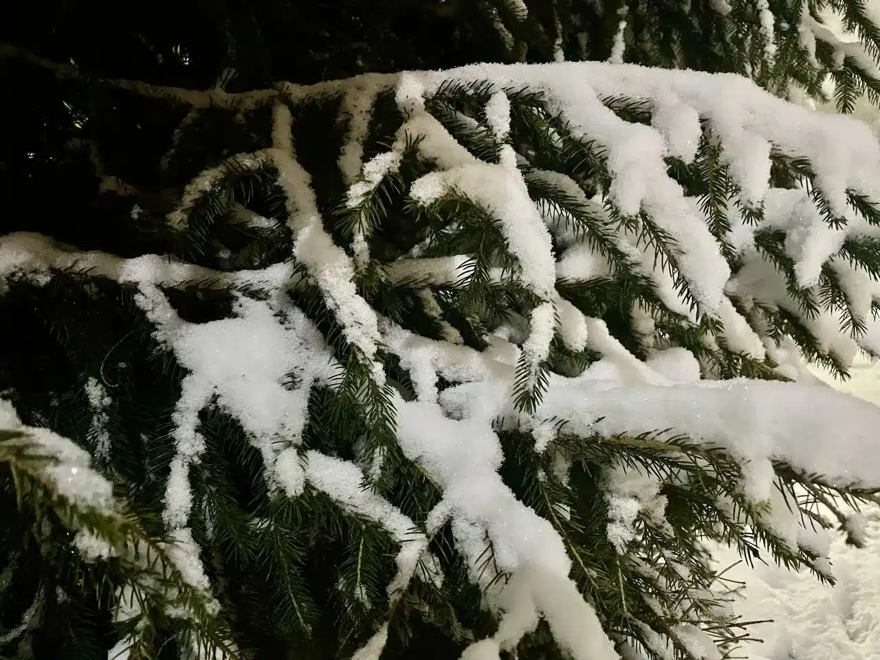 Усилие ветра ожидается в ЗКО