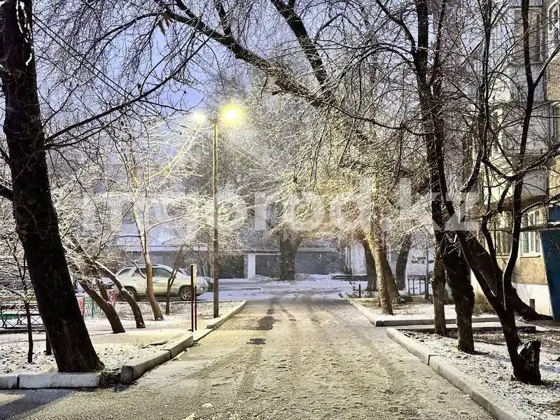 Погода на 17 декабря