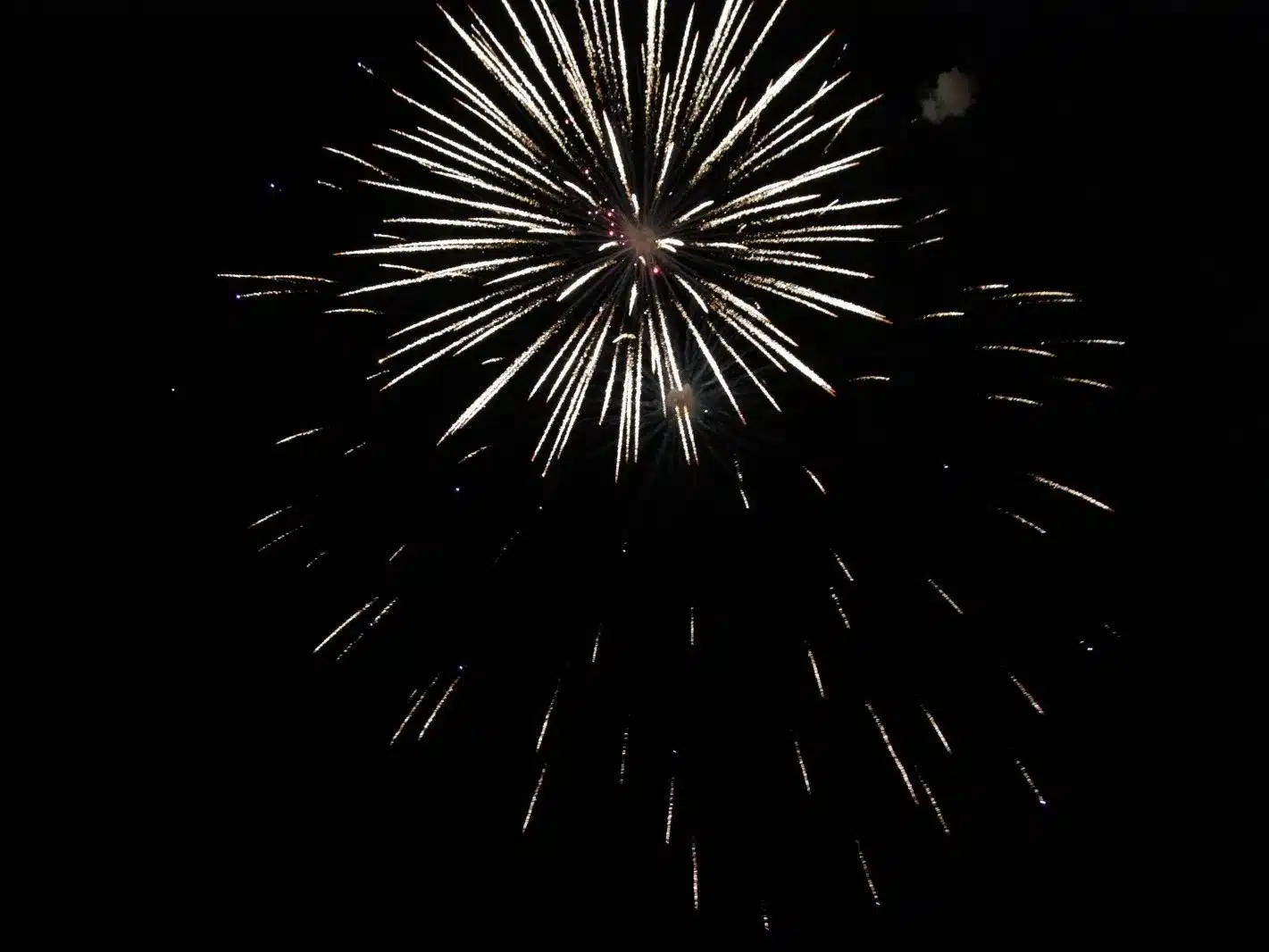 Уральцев приглашают на новогодний концерт