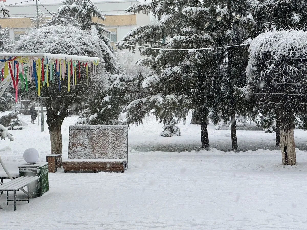 Будет ли декабрь снежным в Уральске – рассказали синоптики