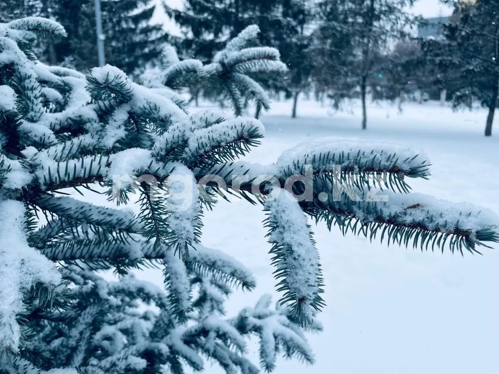 Снег с дождем ожидаются в ЗКО