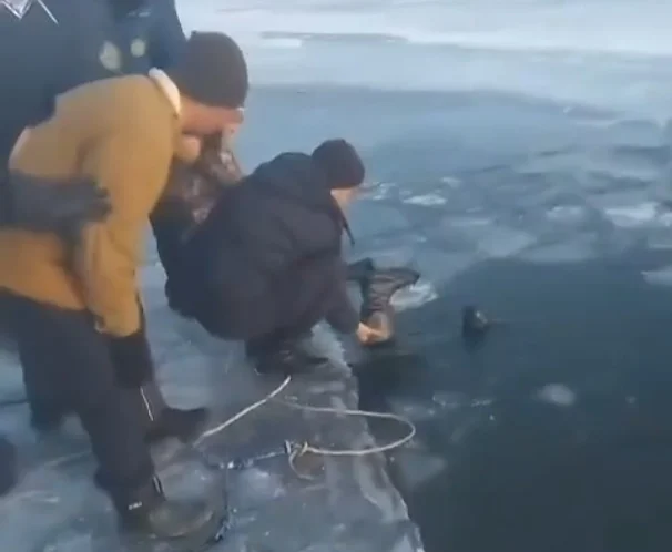 Авто провалилось под лед в Актобе: погиб мужчина