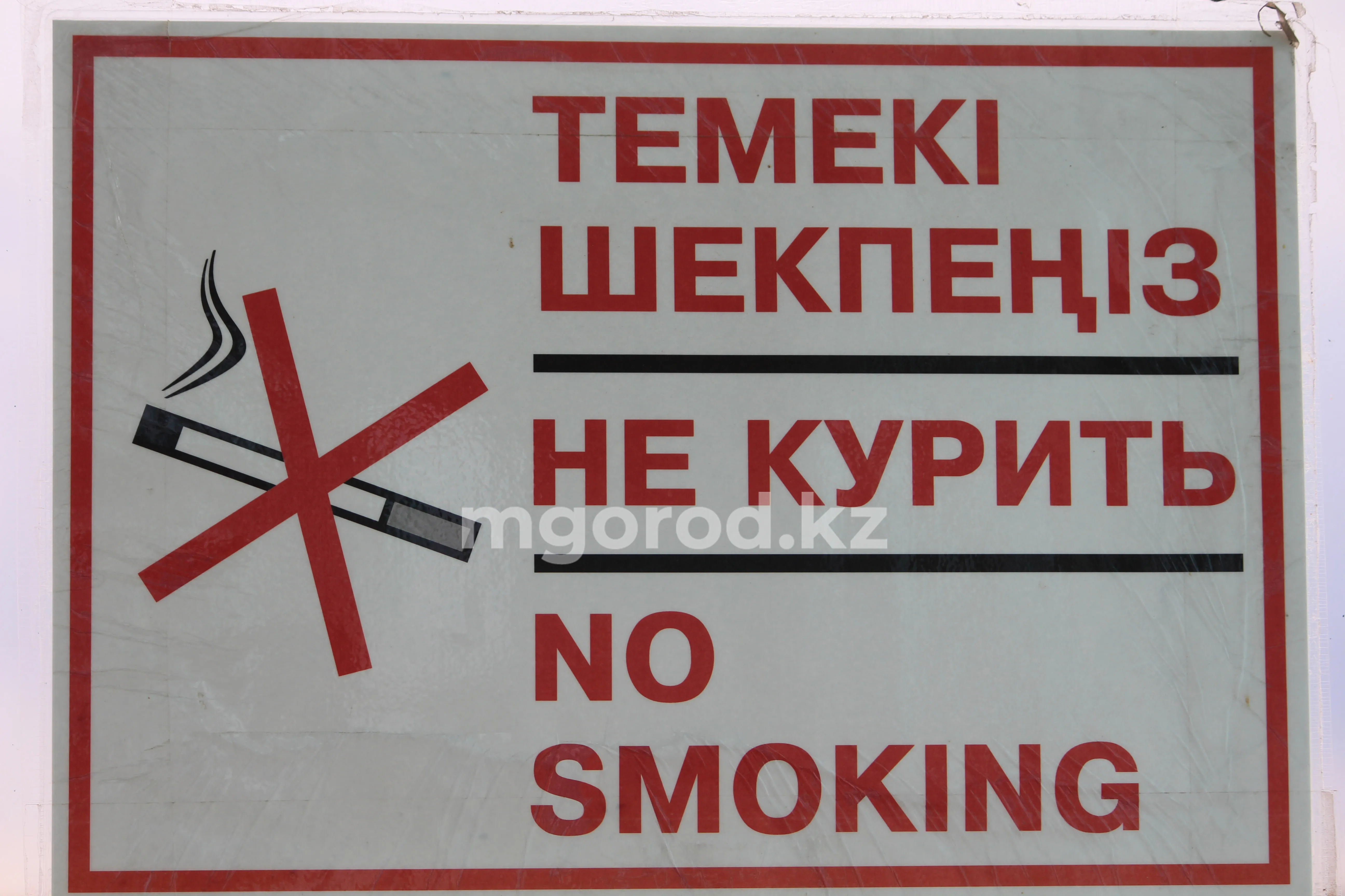 Девочка-подросток из Атырау курила на борту самолета